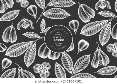 Hand drawn sketch style ackee banner. Organic fresh food vector illustration on chalk board. Retro exotic fruit design template. Engraved style botanical background.