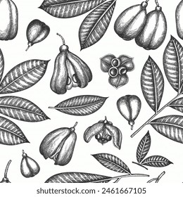 Hand drawn sketch style ackee seamless pattern. Organic fresh food vector illustration. Retro exotic fruit  background.