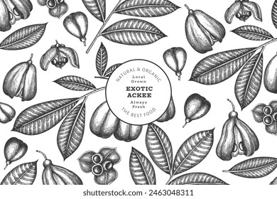 Hand drawn sketch style ackee banner. Organic fresh food vector illustration. Retro exotic fruit design template. Engraved style botanical background.