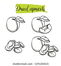 Hand drawn sketch style Apricot set. Single, group fruits, dried apricots. Organic food, vector doodle illustrations collection isolated on white background.