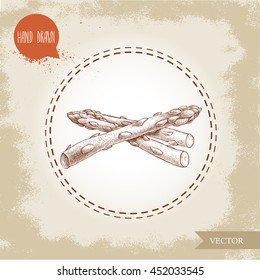 Hand drawn sketch style asparagus sprouts. Eco food farm fresh vector illustration on vintage background.