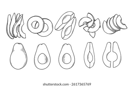 Hand drawn sketch style avocado set on white background. Avocado cut in various ways, slices and wedges. Vector illustration