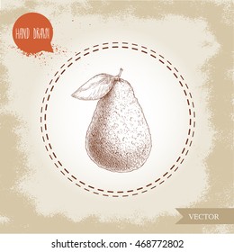 Hand drawn sketch style avocado fruit with leaf. Eco food for kitchen and restaurant design.