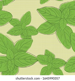 Hand drawn sketch style basil leaves set. Collection of culinary and cooking spicy ingredients. Herbal engraved style illustration. Vector background seamless pattern