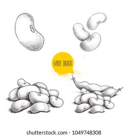 Hand drawn sketch style beans set. Fresh farm market product. Vegetarian food vector iilustrations isolated on white background.