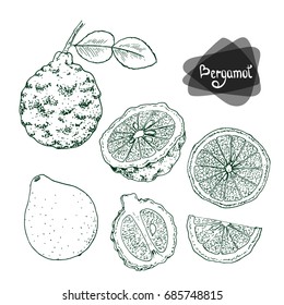 Hand drawn sketch style bergamot set on white background. Vector illustration. 