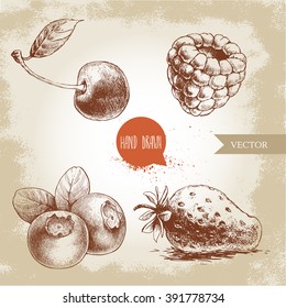 Hand drawn sketch style berries set. Raspberry, strawberry, cherry and blueberry. 
