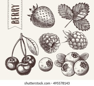 Hand drawn sketch style berries set. Raspberry, strawberry, cherry and blueberry.