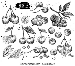 Hand drawn sketch style berries set. Blueberry and cherry. Eco food farm fresh. Vector organic food illustration.