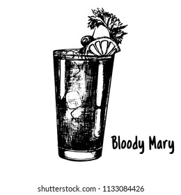 Hand drawn sketch style Bloody Mary cocktail isolated on white background. Vector illustration.