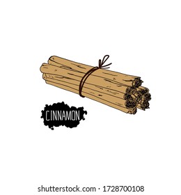 Hand drawn sketch style bunch of cinnamon. Color illustration. 