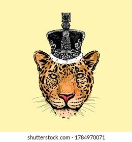 Hand drawn sketch style burlesque portrait of funny leopard with crown on it's head isolated on yellowish background. Vector illustration.