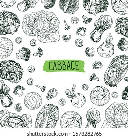 Hand Drawn Sketch Style Cabbage Cover. Cabbages, Kohlrabi, Brussels Sprouts, Broccoli, Cauliflowers, Napa Cabbage And Bok Choy. Label For Market. Vector Background. 