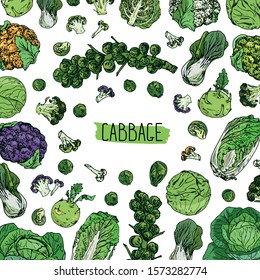 Hand drawn sketch style cabbage cover. White, green and purple cabbages, kohlrabi, Brussels sprouts (branch and single), broccoli, orange, green and purple cauliflowers, napa cabbage and bok choy. 