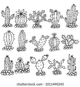 Hand drawn sketch style  cactus. Vector illustration.