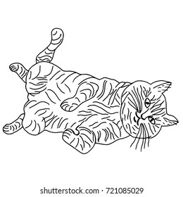  hand drawn sketch style cat. Vector illustration.