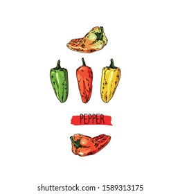 Hand drawn sketch style cayenne pepper set. Color illustration. 