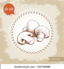 Hand drawn sketch style champignon mushroom composition. Whole and half cut. Vector farm fresh food isolated on old background.