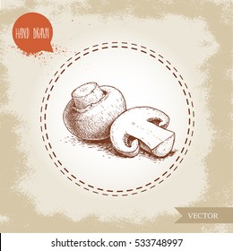 Hand drawn sketch style champignon mushroom composition. Whole and half cut. Vector farm fresh food isolated on old background.