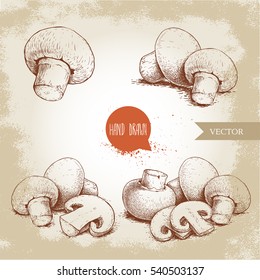 Hand drawn sketch style champignon mushroom composition set. Whole and slice cuts. Vector farm fresh food collection  isolated on old background.