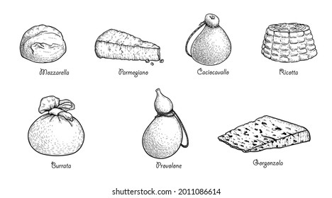 Hand drawn sketch style cheese set. Traditional Itailan cheese . Mozzarella, Parmegiano, Caciocavallo, Ricotta, Burrata, Provolone, Gorgonzola. Best for menu designs and packaging. Vector illustration