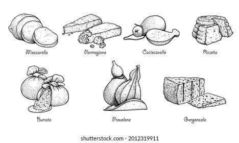 Hand drawn sketch style cheese set. Traditional Itailan cheese collection. Mozzarella, Parmegiano, Caciocavallo, Ricotta, Burrata, Provolone, Gorgonzola. Best for menu designs. Vector illustrations.