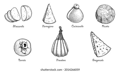 Hand drawn sketch style cheese set. Traditional Itailan cheese. Top view. Mozzarella, Parmegiano, Caciocavallo, Ricotta, Burrata, Provolone, Gorgonzola. Best for menu and packaging. Vector images