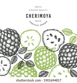Hand drawn sketch style cherimoya banner. Organic fresh fruit vector illustration. Engraved style botanical design template.