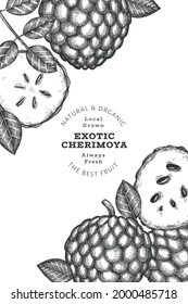 Hand drawn sketch style cherimoya banner. Organic fresh fruit vector illustration. Engraved style botanical design template.