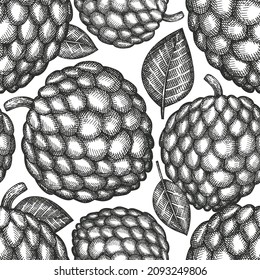 Hand drawn sketch style cherimoya seamless pattern. Organic fresh fruit vector illustration. Engraved style botanical background