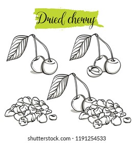 Hand drawn sketch style Cherry set. Single, group fruits, slices, dried Cherry. Organic food, vector doodle illustrations collection isolated on white background.