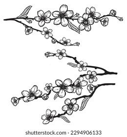 Hand drawn sketch style cherry blossom set. Spring flower illustration. Best for greeting cards, invitations designs. Vector drawing.