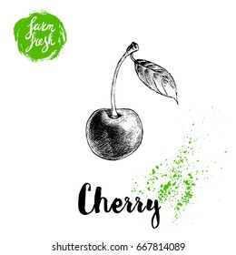 Hand drawn sketch style cherry poster. Single farm fresh berry with leaf. Eco food fruits vector illustration.