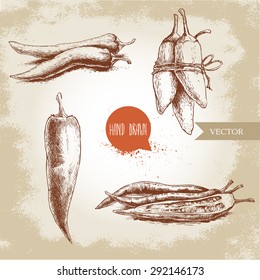 Hand drawn sketch style chili peppers set. Vintage eco food vector illustration. Ripe and sliced peppers. Grunge background.