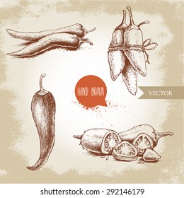 Hand drawn sketch style chili peppers set. Vintage eco food vector illustration. Ripe and sliced peppers. Grunge background.