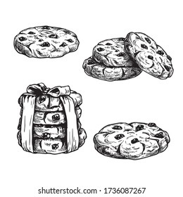 Hand drawn sketch style chocolate chip cookies set. Single and in the stack. Vintage retro ink style vector illustrations. Best for package and menu design. Isolated on white background.