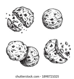 draw a chocolate chip cookie  Clip Art Library