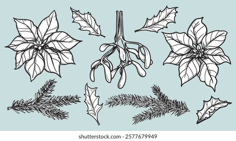 Hand drawn sketch style Christmas plants set. Poinsettia flower, fir branches ,holly berry leaves and mistletoe in retro vintage. Vector illustrations.