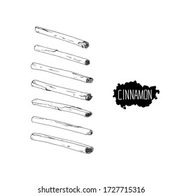 Hand drawn sketch style cinnamon. Vector illustration. 