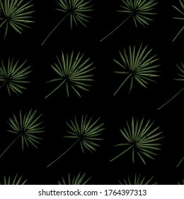 Hand drawn sketch style circle palm leaves on dark background seamless pattern. Color illustration.