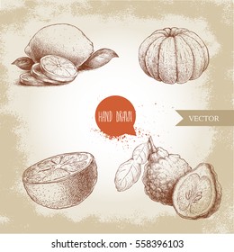 Hand drawn sketch style citrus fruits set. Lemon half, lime, peeled tangerine, mandarin, oranges and bergamots. Vector organic food illustrations.