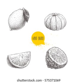 Hand drawn sketch style citrus fruits set. Lemon, lime, peeled tangerine, mandarine, orange slice and bergamot half. Vector  illustration isolated on white background.