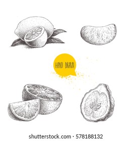 Hand drawn sketch style citrus fruits set. Lemon half, lime, tangerine, mandarin part, oranges and bergamots isolated on white background. Vector organic food illustrations.