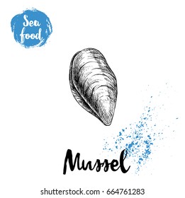 Hand drawn sketch style closed fresh mussel. Seafood vector illustration poster for fish markets and restaurants menu.