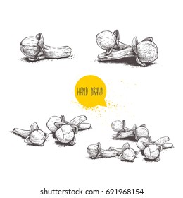 Hand drawn sketch style cloves set. Herbs, spices and condiment collection. Vector illustrations isolated on white background.