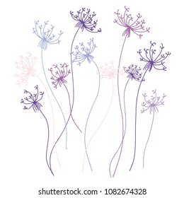 Hand drawn sketch style Dandelions.Vector illustration 
