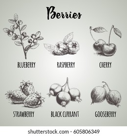 Hand drawn sketch style different berries set. Blueberry branch, raspberries, cherry, strawberry bunch, black currants  and gooseberries. Organic eco food.
