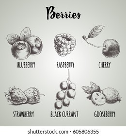 Hand drawn sketch style different berries set. Blueberry bunch, raspberry, cherry, strawberry, black currant branch and gooseberry. Organic eco food.
