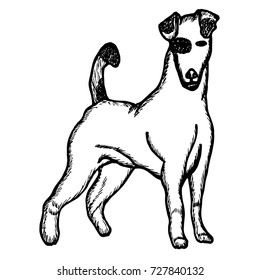 
 hand drawn sketch style dog.Vector illustration isolated on white background.