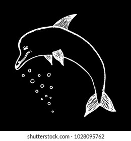 Hand drawn sketch style dolphin.Vector illustration.